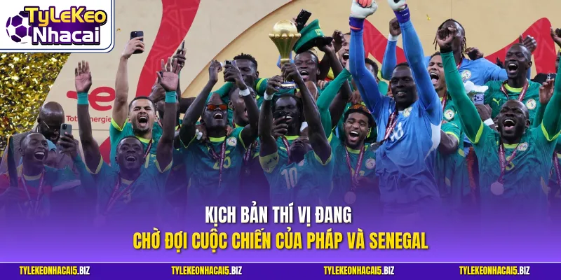 Kịch bản thí vị đang chờ đợi cuộc chiến của Pháp Và Senegal